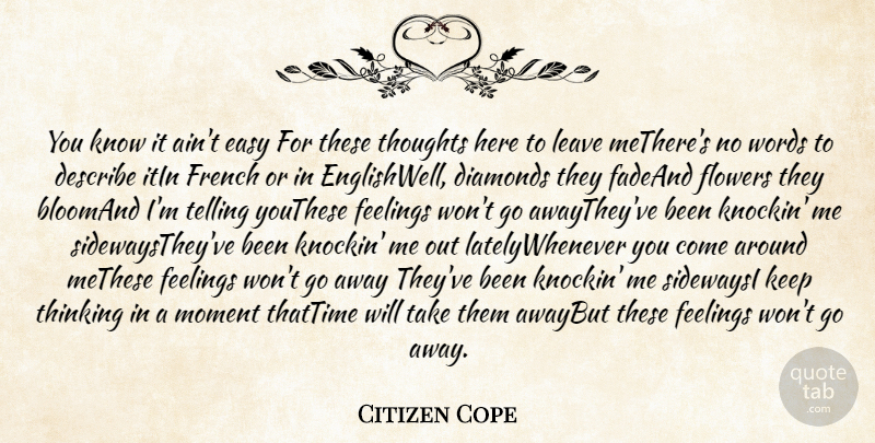 Citizen Cope Quote About Describe, Diamonds, Easy, Feelings, Flowers: You Know It Aint Easy...
