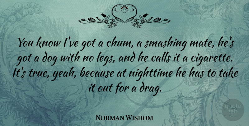Norman Wisdom Quote About Dog, Legs, Night Time: You Know Ive Got A...