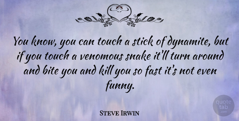 Steve Irwin Quote About Snakes, Sticks, Crocodiles: You Know You Can Touch...