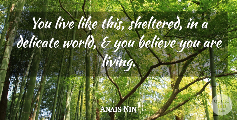 Anais Nin Quote About Believe, World, Picnics: You Live Like This Sheltered...