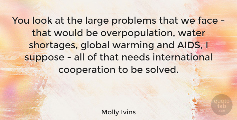 Molly Ivins Quote About Water, Would Be, Needs: You Look At The Large...