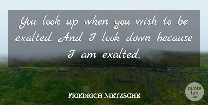 Friedrich Nietzsche Quote About Wish, Looks, Existentialism: You Look Up When You...