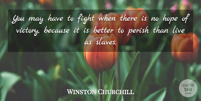 Winston Churchill Quote About Military, Fighting, Odds Against You: You May Have To Fight...