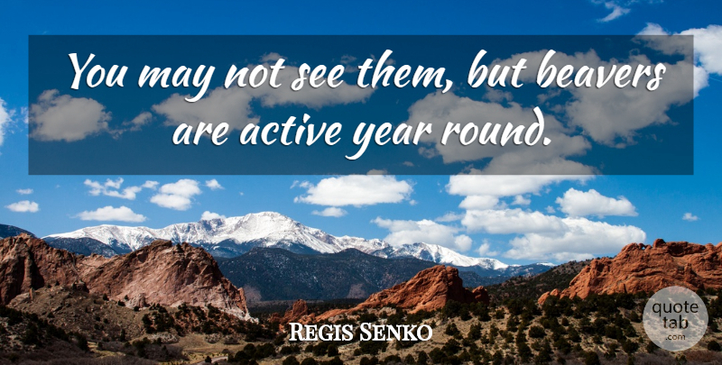 Regis Senko Quote About Active, Beavers, Year: You May Not See Them...