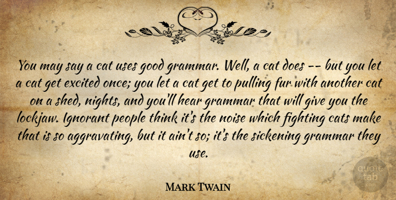Mark Twain Quote About Cat, Fighting, Night: You May Say A Cat...