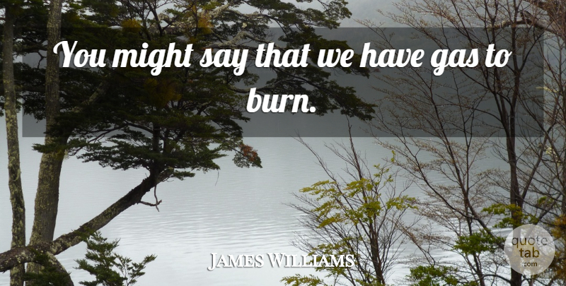 James Williams Quote About Gas, Might: You Might Say That We...