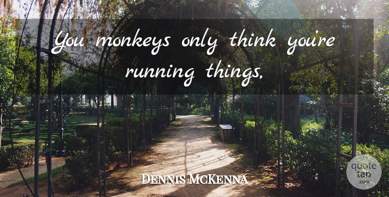 Dennis McKenna Quote About Running, Thinking, Monkeys: You Monkeys Only Think Youre...