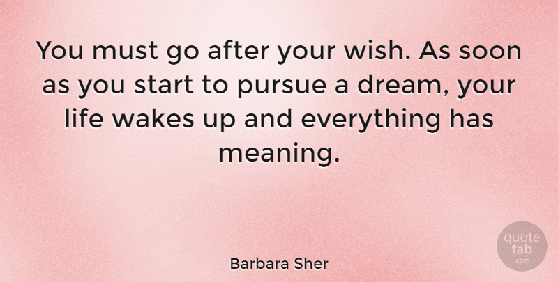 Barbara Sher Quote About American Businessman, Life, Pursue, Soon, Wakes: You Must Go After Your...