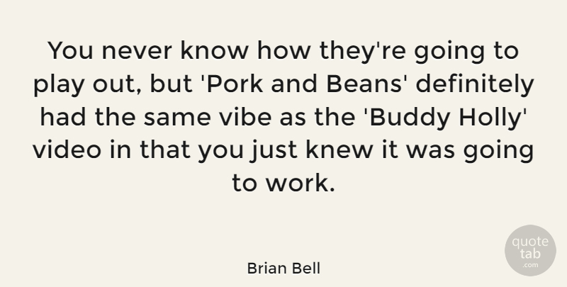 Brian Bell Quote About Definitely, Knew, Vibe, Video, Work: You Never Know How Theyre...