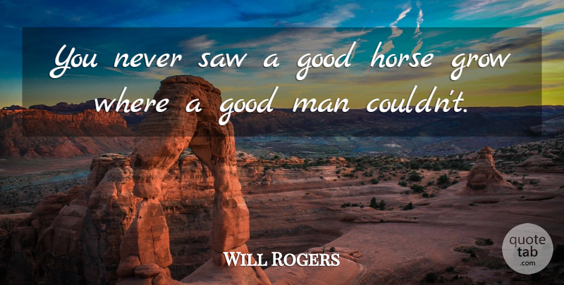 Will Rogers Quote About Good, Grow, Horse, Man, Saw: You Never Saw A Good...