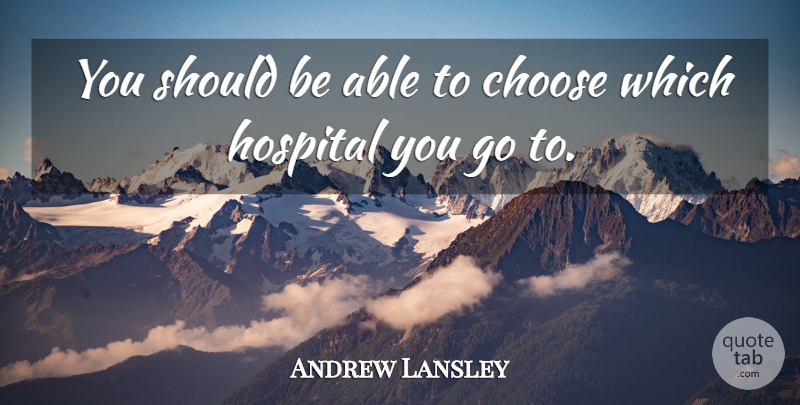 Andrew Lansley Quote About undefined: You Should Be Able To...