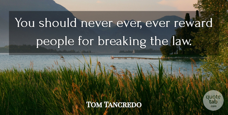 Tom Tancredo Quote About Breaking, Law, People, Reward: You Should Never Ever Ever...