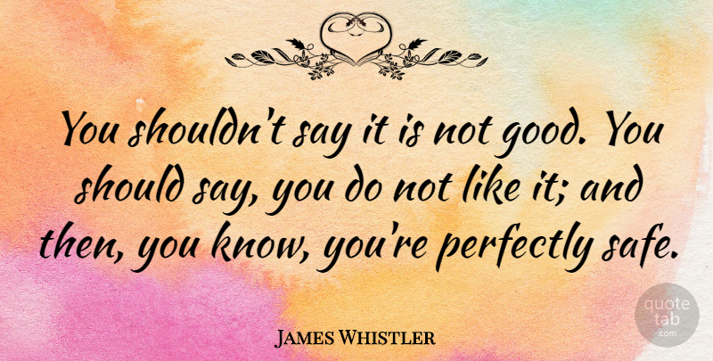 James Whistler Quote About Attitude, Safe, Should: You Shouldnt Say It Is...