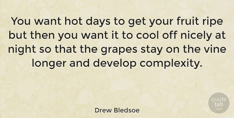 Drew Bledsoe Quote About Night, Vines, Hot Days: You Want Hot Days To...