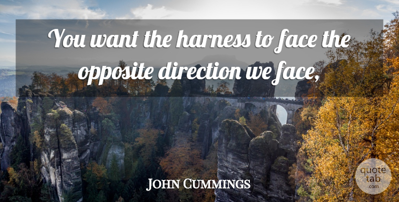John Cummings Quote About Direction, Face, Harness, Opposite: You Want The Harness To...