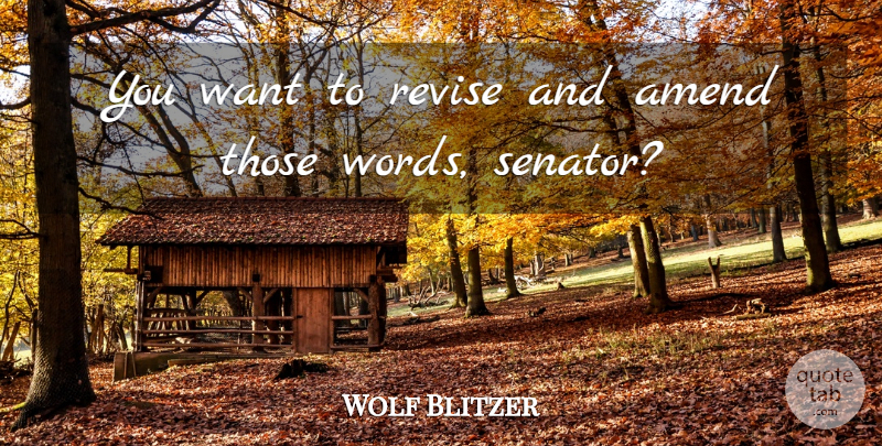 Wolf Blitzer Quote About Revise, Words: You Want To Revise And...