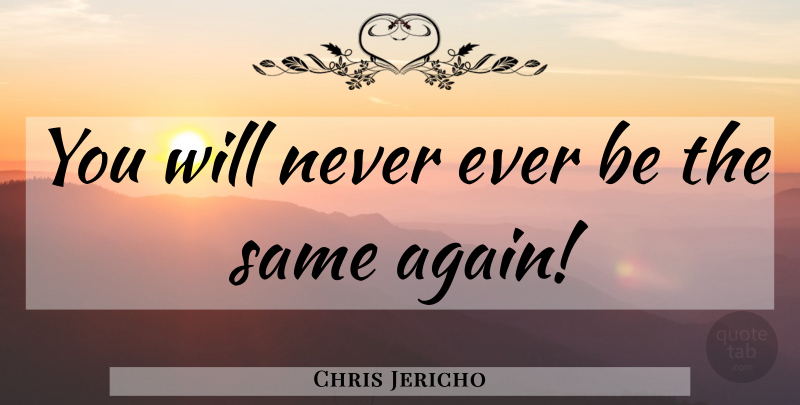 Chris Jericho Quote About Wwe: You Will Never Ever Be...