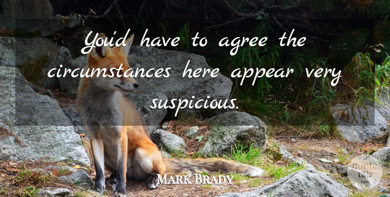 Mark Brady Quote About Agree, Appear, Circumstance: Youd Have To Agree The...