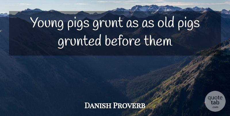 Danish Proverb Quote About Grunt, Pigs: Young Pigs Grunt As As...