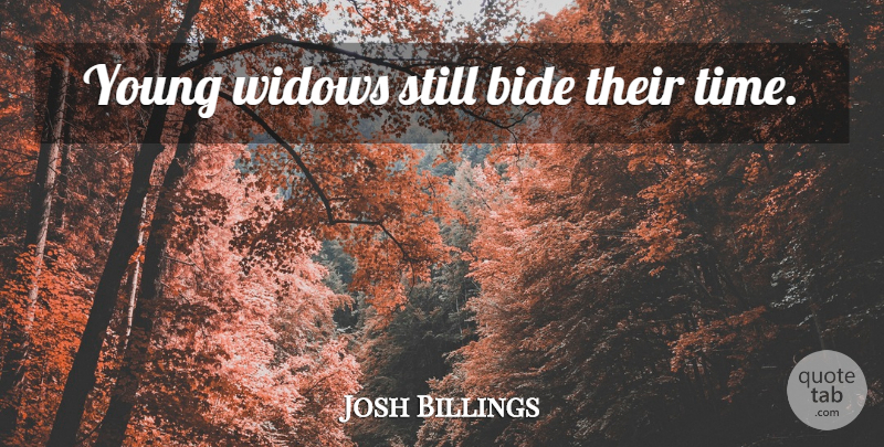 Josh Billings Quote About Widows, Young, Stills: Young Widows Still Bide Their...