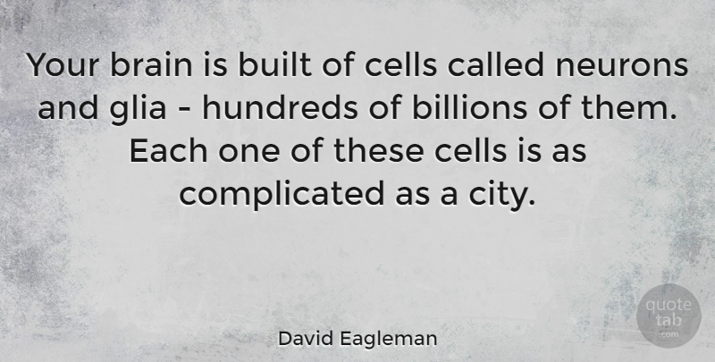 David Eagleman Quote About Cells, Cities, Brain: Your Brain Is Built Of...