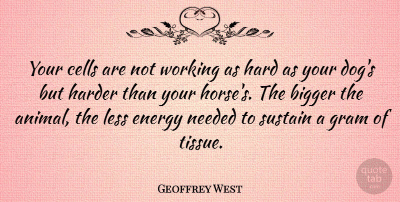 Geoffrey West Quote About Bigger, Cells, Energy, Hard, Harder: Your Cells Are Not Working...