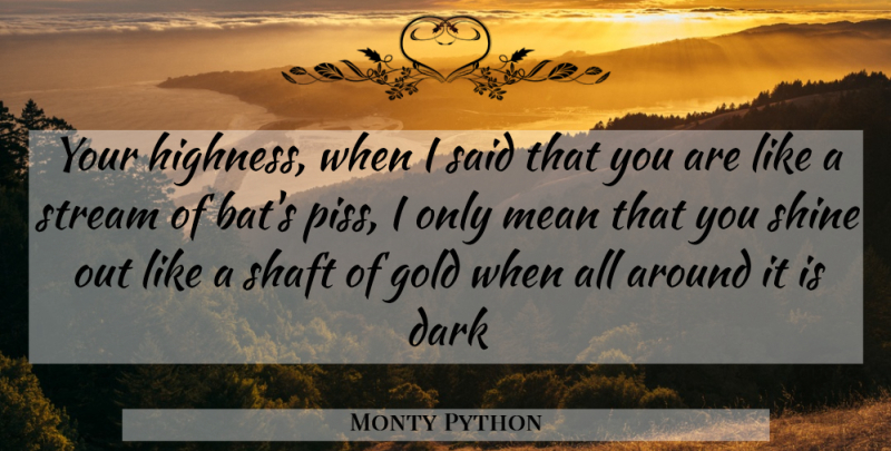 Monty Python Quote About Dark, Gold, Mean, Shine, Stream: Your Highness When I Said...