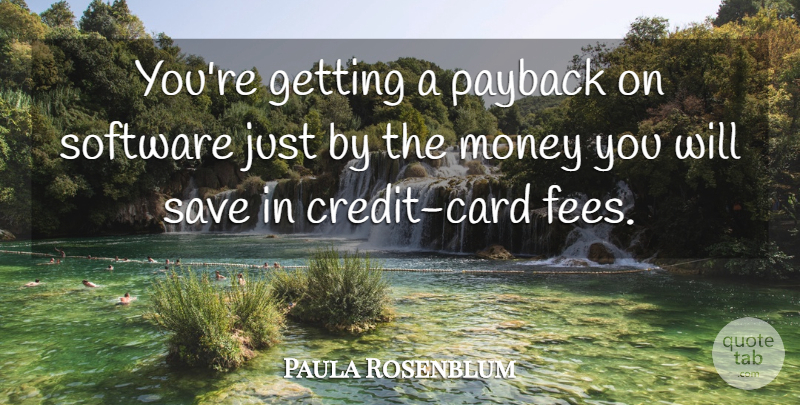 Paula Rosenblum Quote About Money, Save, Software: Youre Getting A Payback On...