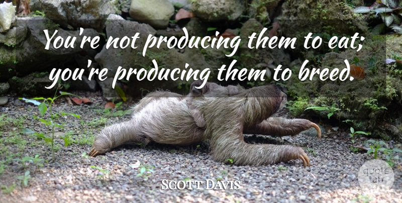 Scott Davis Quote About Producing: Youre Not Producing Them To...