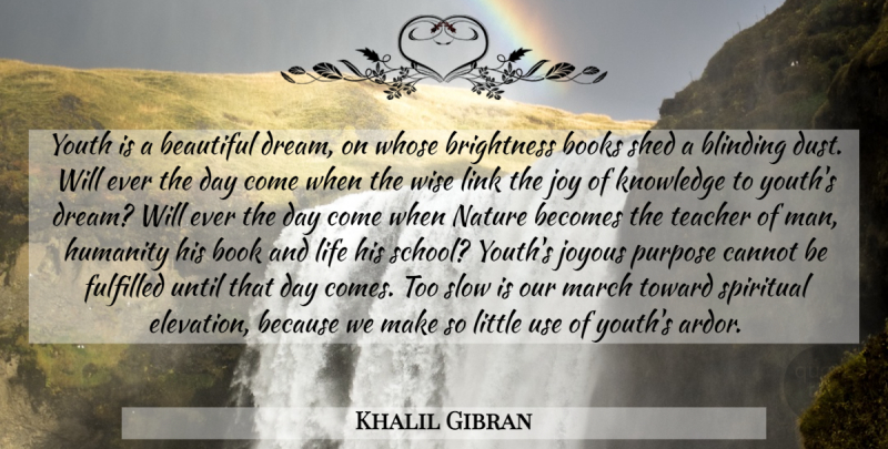 Khalil Gibran Quote About Beautiful, Wise, Dream: Youth Is A Beautiful Dream...
